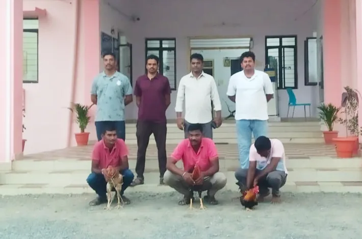 కోడిపందాల స్థావరాలపై పోలీసుల మెరుపు దాడి