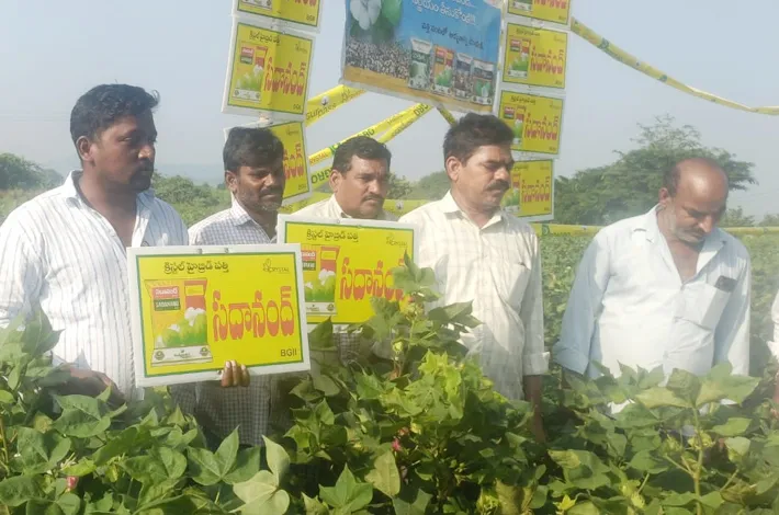 బెజ్జంకి క్రిస్టల్ పత్తి క్షేత్ర ప్రదర్శనకు విశేష స్పందన