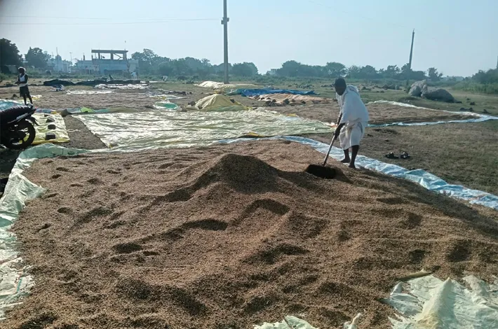 పంట చేతికొచ్చినా..కొనుగోలు కేంద్రాలు ఏవీ? 
