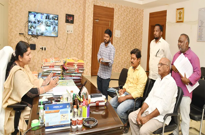 'డబుల్' ఇళ్లకు అవసరమైన మరమ్మత్తులు చేయించండి