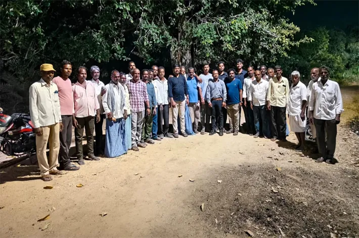 సద్దుల బతుకమ్మకు లైట్స్ ఏర్పాటు