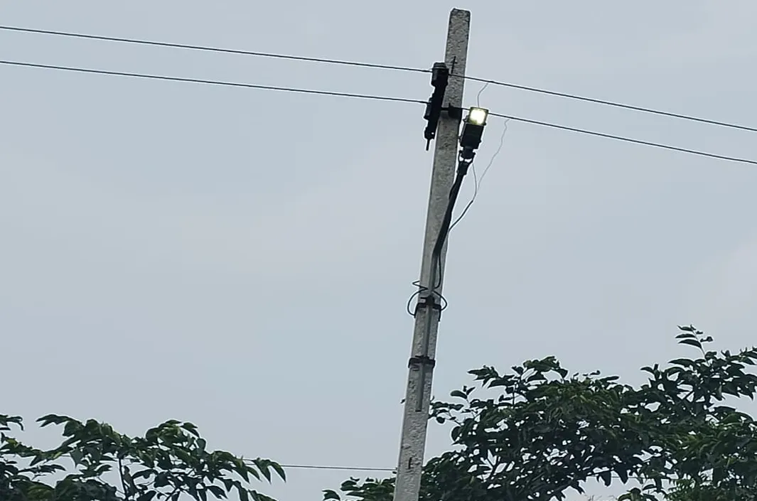 పట్టపగలే వీధిలైట్ల వెలుగులు.. విద్యుత్ వృథా