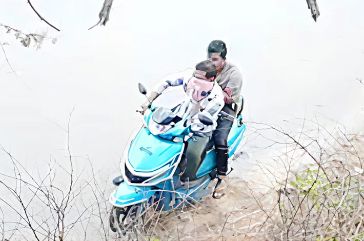 article_71861481.webp