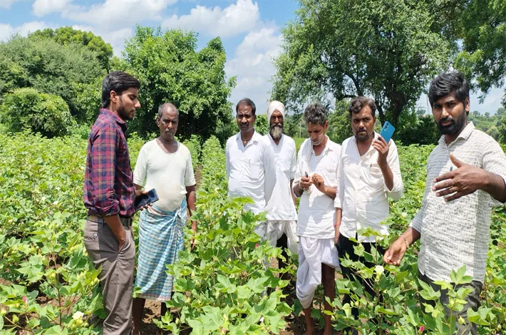 పంటల పట్ల రైతులు అప్రమత్తంగా ఉండాలి: అగ్రికల్చర్ ఏవో హరికృష్ణ