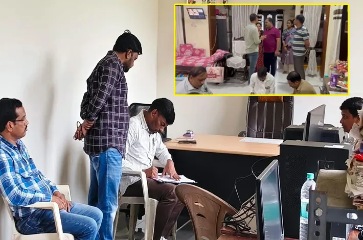 article_72440333.webp