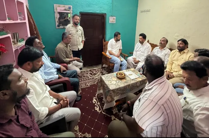 మున్సిపల్ కోఆప్షన్ సభ్యులు