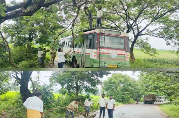 వర్షానికి విరిగిన చెట్ల కొమ్మల తొలగింపు