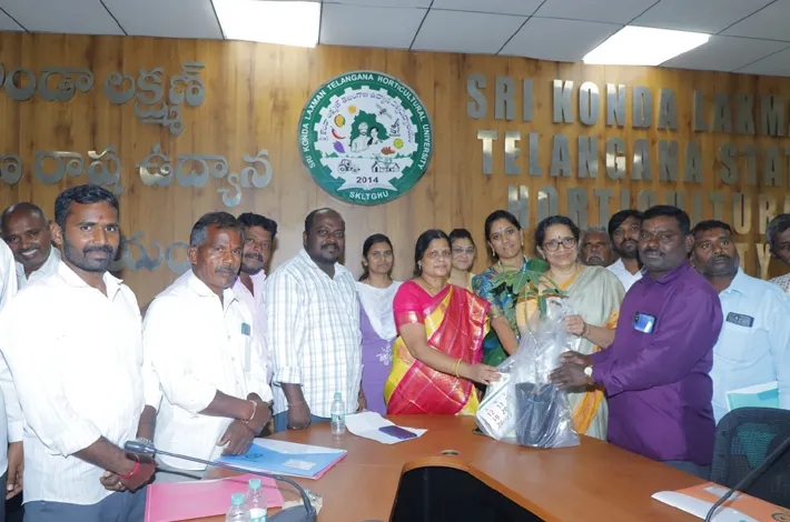 ఎల్‌నినో ప్రభావాలను తట్టుకునేలా ఉద్యాన పంటల సాగు