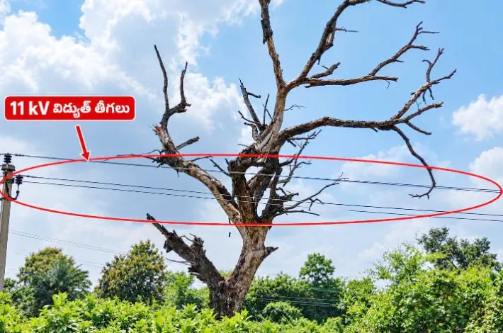 రోడ్డుపై పొంచి ఉన్న పెను ప్రమాదం!