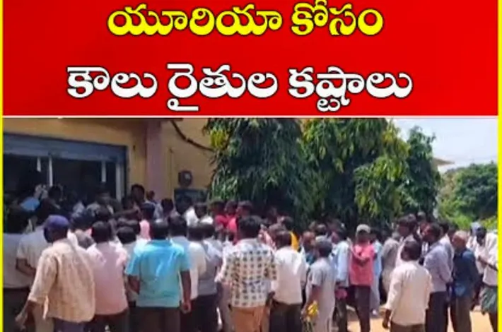 యూరియా కోసం రైతుల నిరీక్షణ.. బుకింగ్‌లో గందరగోళం