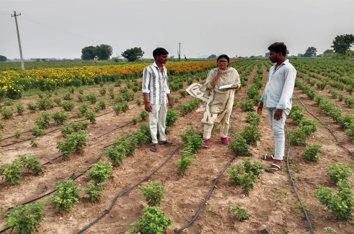 శాస్త్రవేత్తల క్షేత్ర సందర్శన