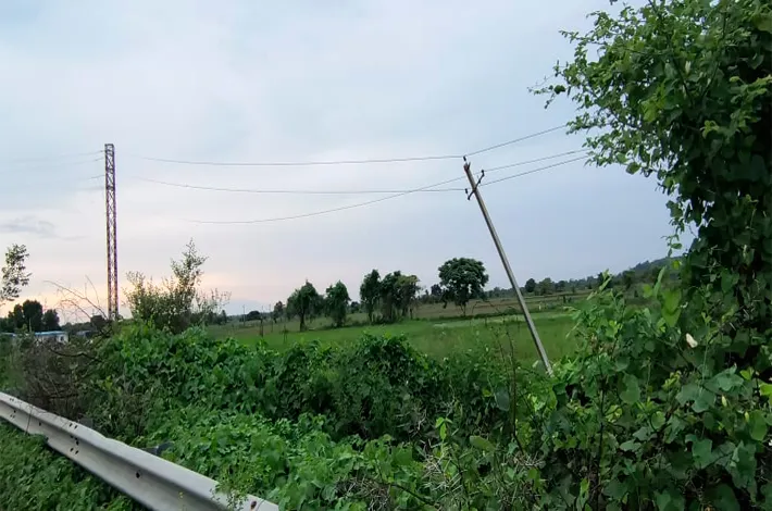 article_80882647.webp