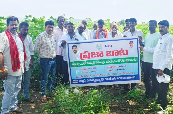 రబీ పంటలను సాగు చేయవద్దు..