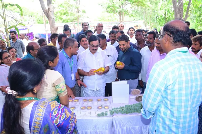 పంట నాణ్యత, నిల్వ, ప్రాసెసింగ్‌పై దృష్టి