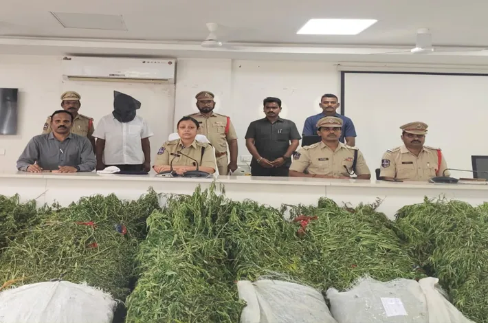గంజాయి సాగుకు చెక్‌.. పోలీసుల మెగా యాక్షన్! 