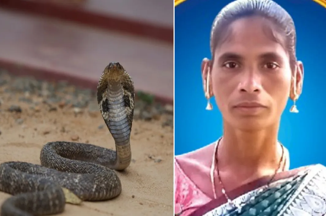 పాము కాటుతో మహిళా మృతి