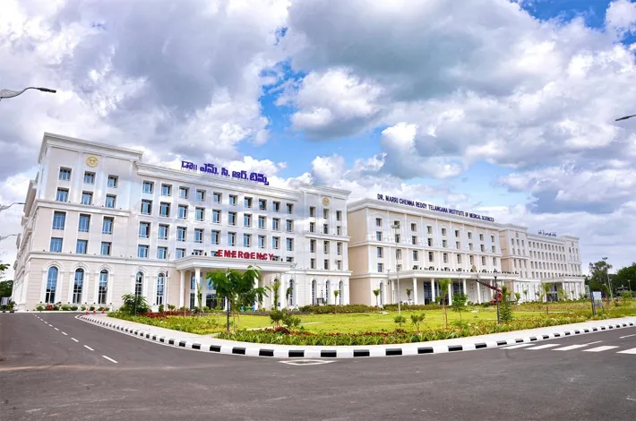article_87276542.webp