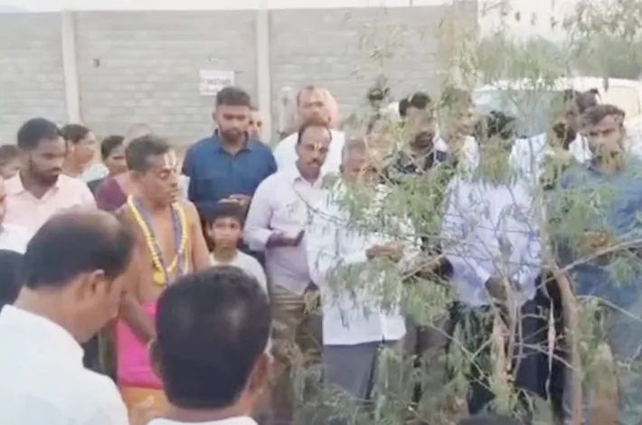 ఘనంగా విజయదశమి వేడుకలు