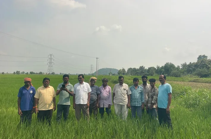 చినరాయిగూడెంలో డిజిటల్ క్రాప్ సర్వే పరిశీలన