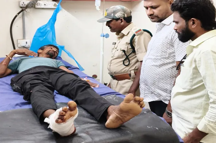 అడవి పంది దాడిలో ఒకరికి గాయాలు